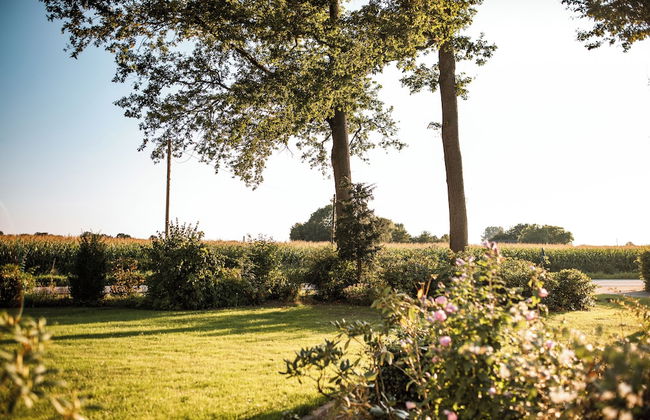 Gästehaus Meiwes - Foto 43