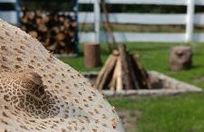 Osada California - Foto 60