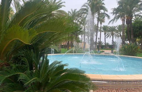 Apartamento primera línea playa Torrevieja El Palmeral - Foto 27