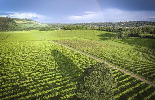 The Garden Studio - Foto 18