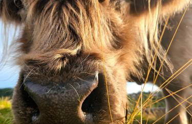 Auszeit zwischen Fellnasen - Foto 32