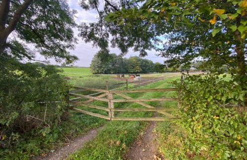 K 357 - Low budget Hotel in Ratekau bei Lübeck - Foto 63