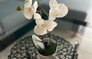 Zentrale Lage Netflix - Foto 9