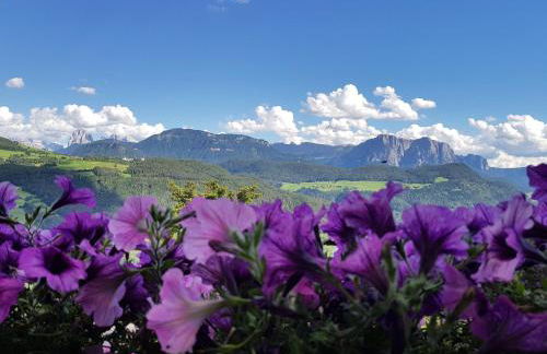 Schweiggerhof -Agriturismo- Farm Holidays - Foto 36