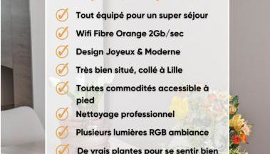 Le design *Vieux Lille*parking gratuit*fibre - Foto 3