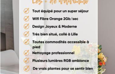 Le design *Vieux Lille*parking gratuit*fibre - Foto 3