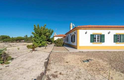 O Cantinho dos Vieiras - Foto 10