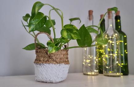 Céntrico Especial Familias Nuevo - Foto 34