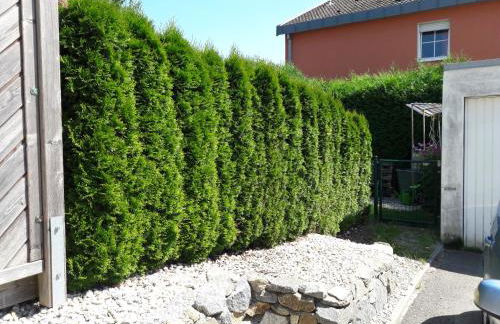 Haus Engler - Foto 35