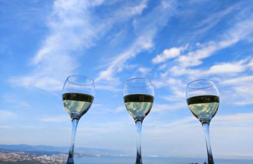 Uphill Opatija Apartment - Foto 2