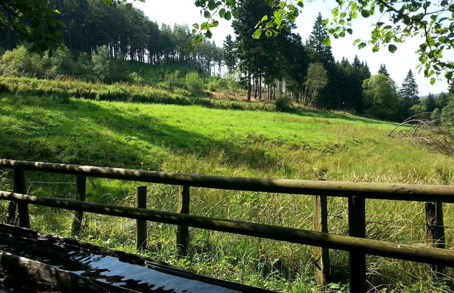 Wohnung in Usseln Nahe Skiliften - Photo 14