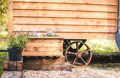 Little Willows - Foto 13