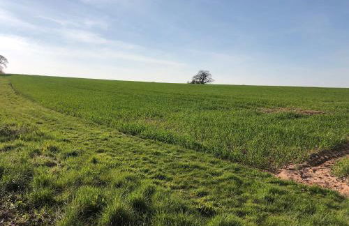 Willow Lodge 2 - Photo 22