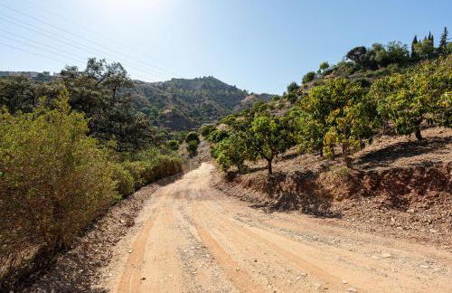The Gardener Cottage - Photo 31