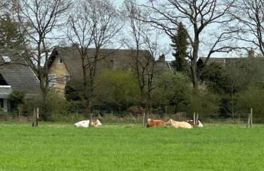 große und luxuriöse Ferienwohnung für max 8 Gäste - Foto 57