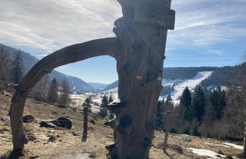 Gemütliche Ferienwohnung in Sankt Blasien - Foto 55