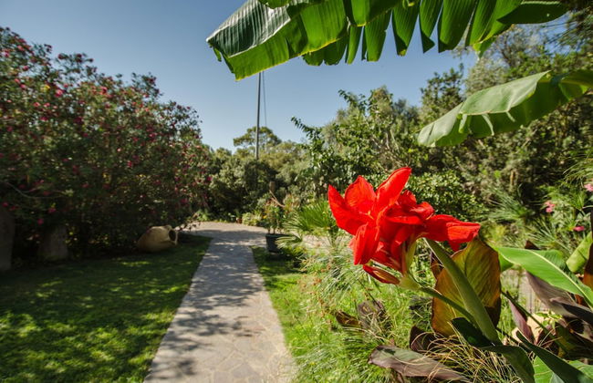 Agriturismo Costa Del Sud - Foto 35