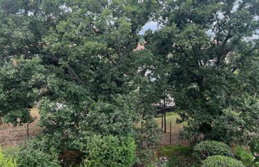 Bel Appartement - Foto 36