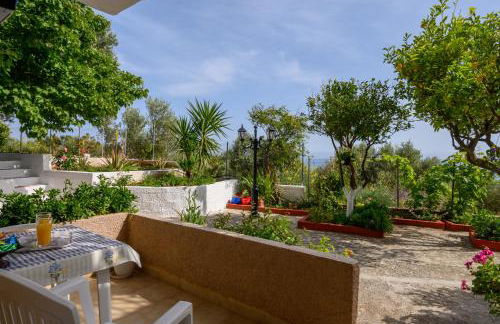 BUENA VISTA studios - Foto 39