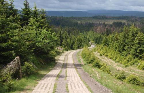 Waldrandzauber - Foto 41