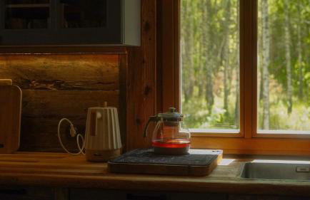 Biały Las Magiczna Stara Chata Puszcza Białowieska - Foto 15