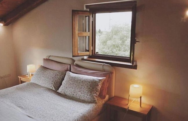 La Casa Griunit - Foto 4