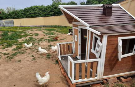 MUSEO GAR-AgriHotel - Foto 41