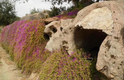 Villa L'Oleandro - Foto 29