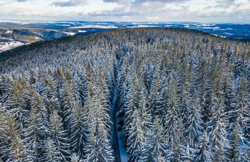 Altes Forsthaus - Fewo "Hasenhorn", mit privater Sauna, Todtnau- Feldberg - Foto 35