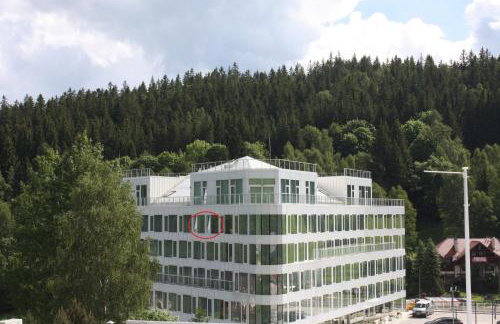 Apartament Biała Perła Czarna Góra Resort - Foto 2