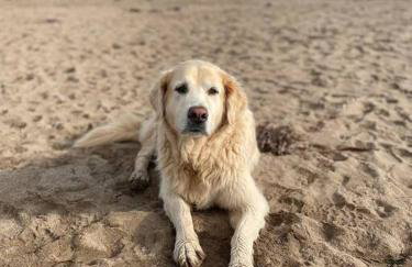 Bumble Bee Cottage - Photo 18