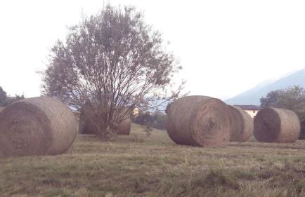 Residenza Letizia - Foto 6