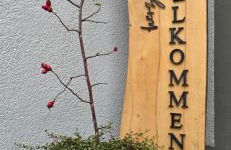 Ferien im Gartenrausch - Gönn Dir eine Auszeit im Herzen von Wörlitz - Foto 11