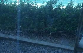 Barca Serena - Foto 80