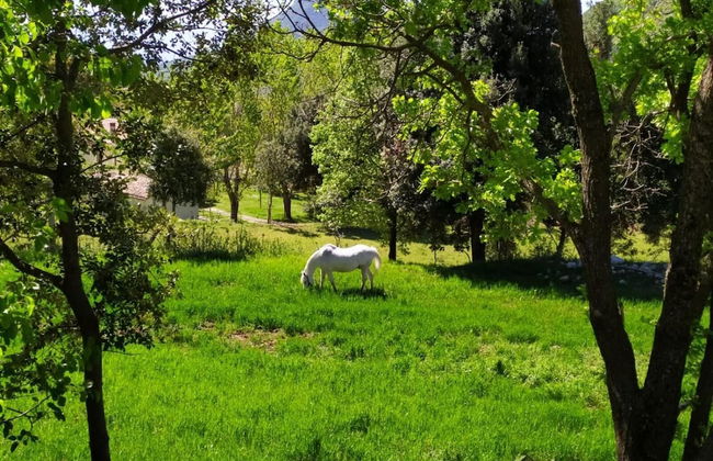 Agriturismo Colloreto - Foto 17