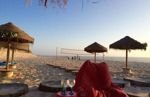 Bico das flores - Foto 76