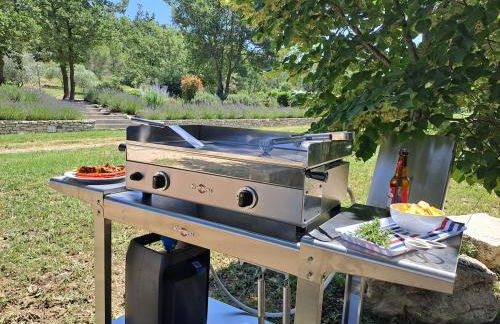 Domaine de Battarel, 4 hectares en Luberon - Foto 36
