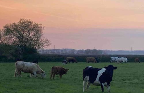 The Hideaway at Peacock Farm - Photo 15