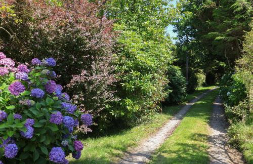 Spring Cottage - Foto 23