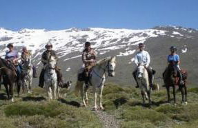 Tropical Studio - Foto 58