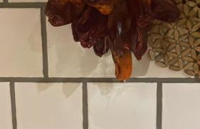 Casa Estela pura tranquilidad - Foto 12