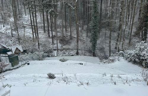 große und luxuriöse Ferienwohnung für max 8 Gäste - Foto 48