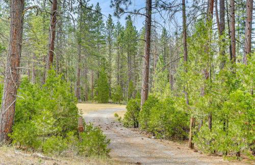 Outdoor Adventure Haven - 15 Mi to Mount Shasta! - Foto 31