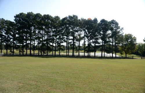Unique A-Frame Cabin Rental on a Farm in Mount Juliet near Nashville, Tennessee - Foto 8