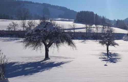 Ferienhaus Rasch - Foto 32