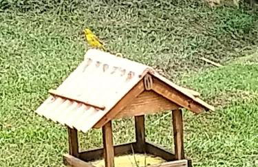 Nosso cantinho, Pedaço do paraíso na Natureza - Photo 8