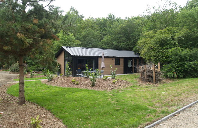 2 bedroom House in Ruinen with swimming pool and terrace - Photo 8