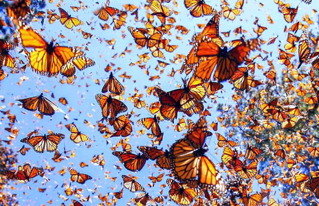 Tour in Valle de Bravo - Foto 7