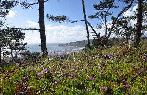 Bed & Seaside - Bola da Nivea - Foto 31