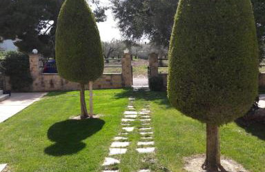 Olive Apartments - Foto 15